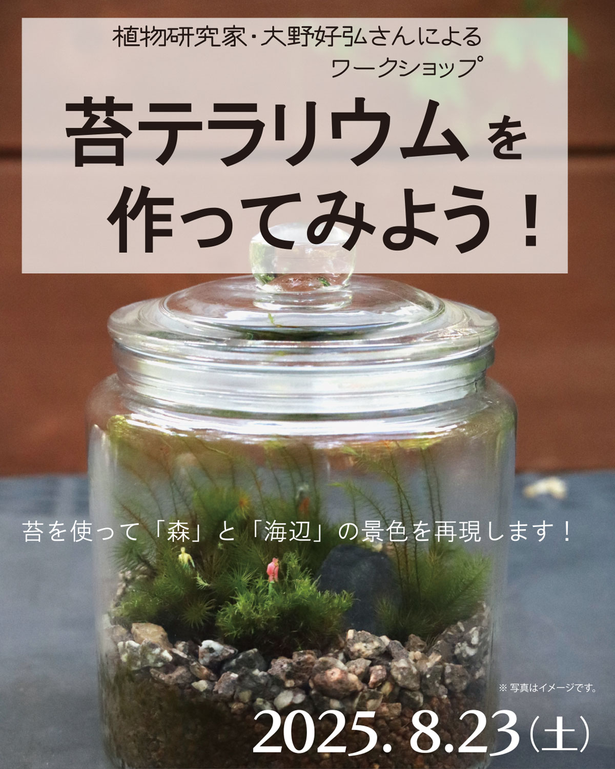 苔テラリウムを作ってみよう
