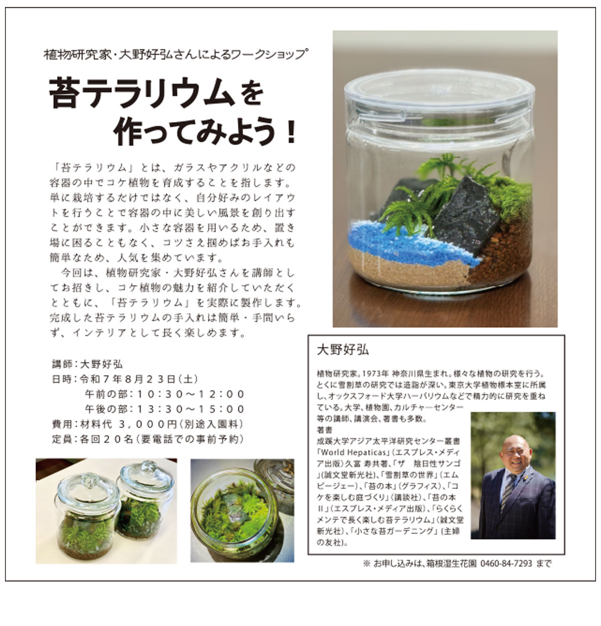 苔テラリウムを作ってみよう
