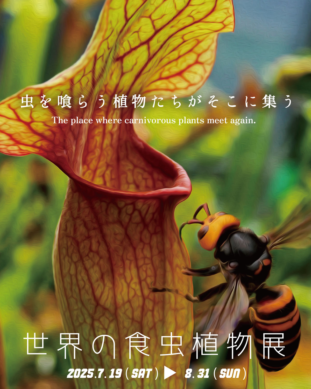 世界の食虫植物展