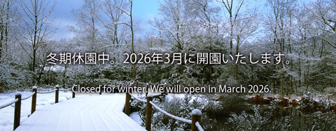 箱根湿生花園【公式】SHISSEIKAEN