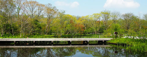 箱根湿生花園 公式 Shisseikaen