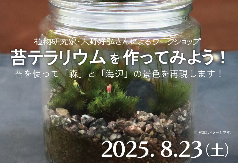 画像は苔テラリウム完成品のイメージ