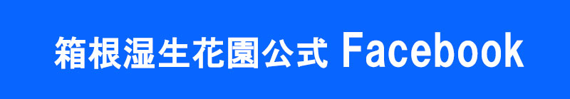 公式Facebook