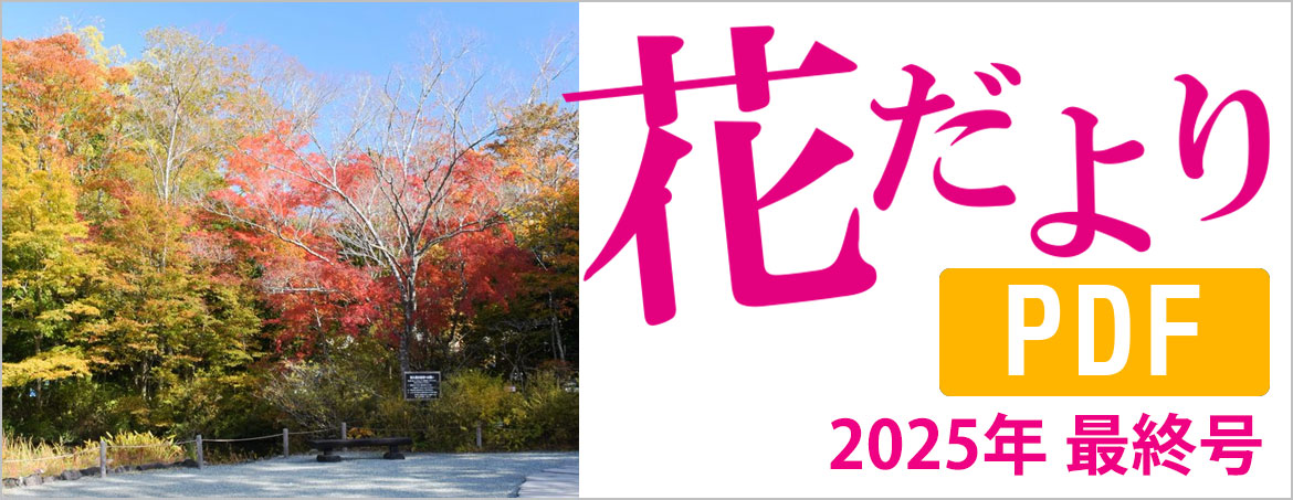 花だより2025年11月25日号